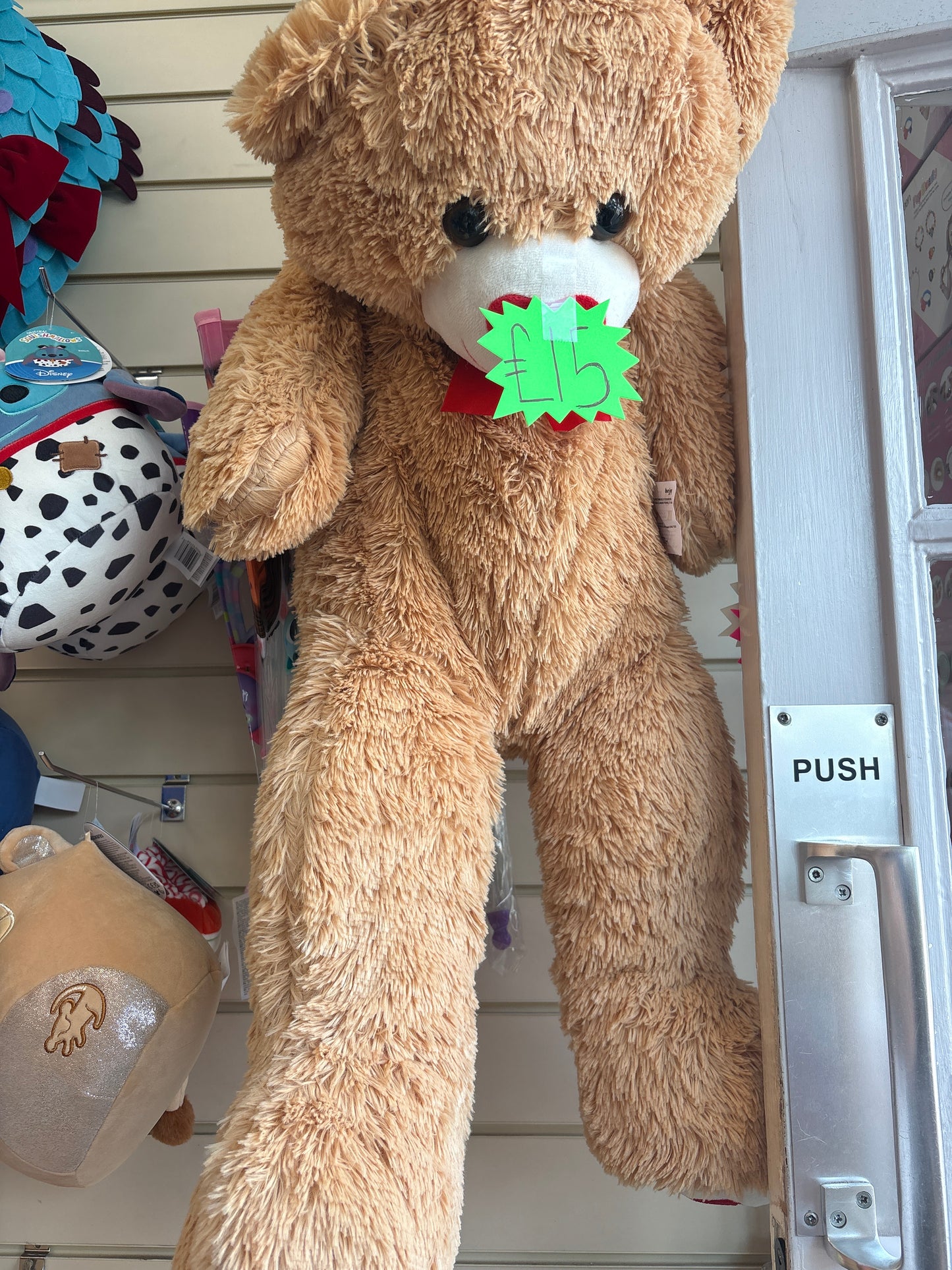 90cm Teddy