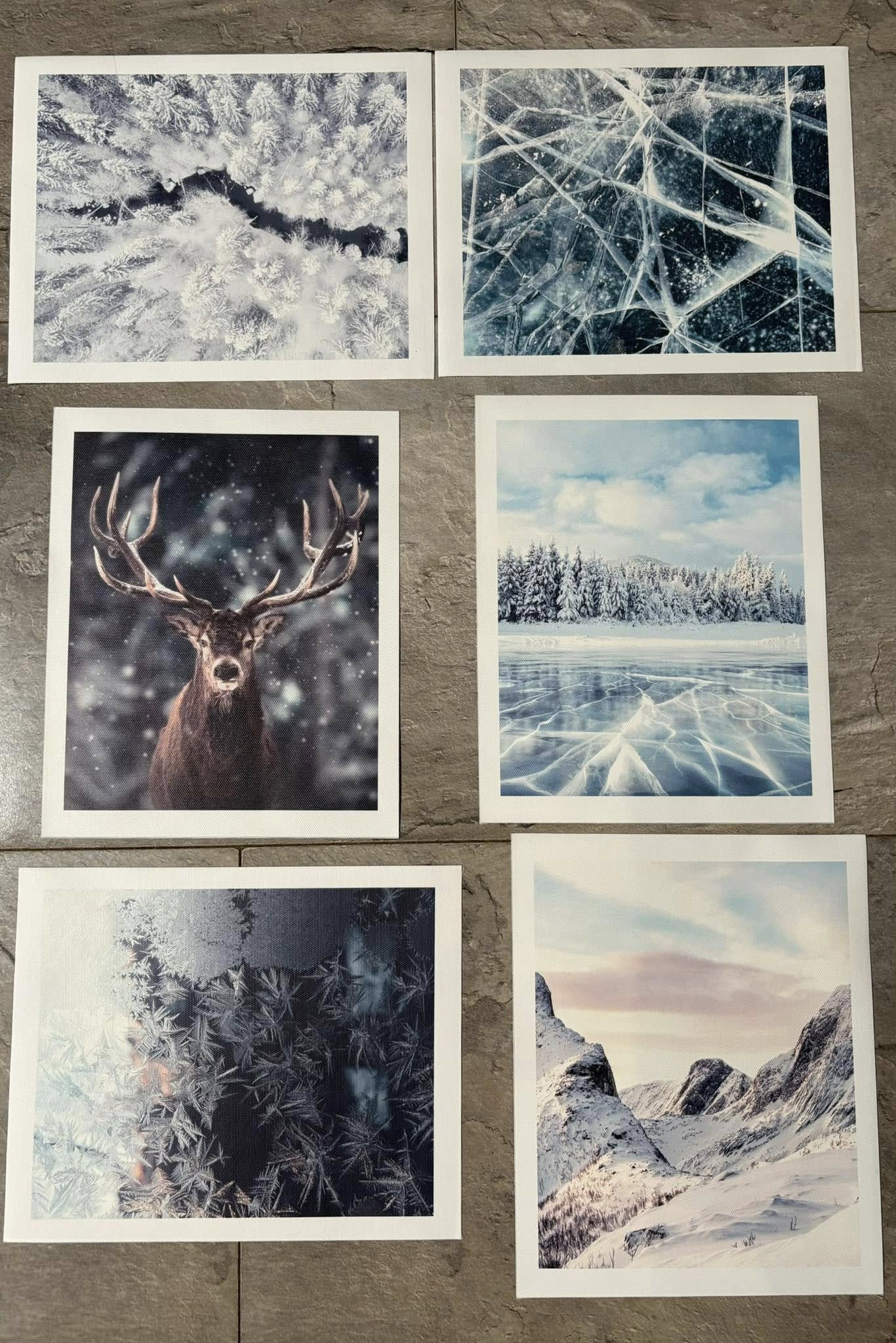 Wall Art Pack of 6 Images