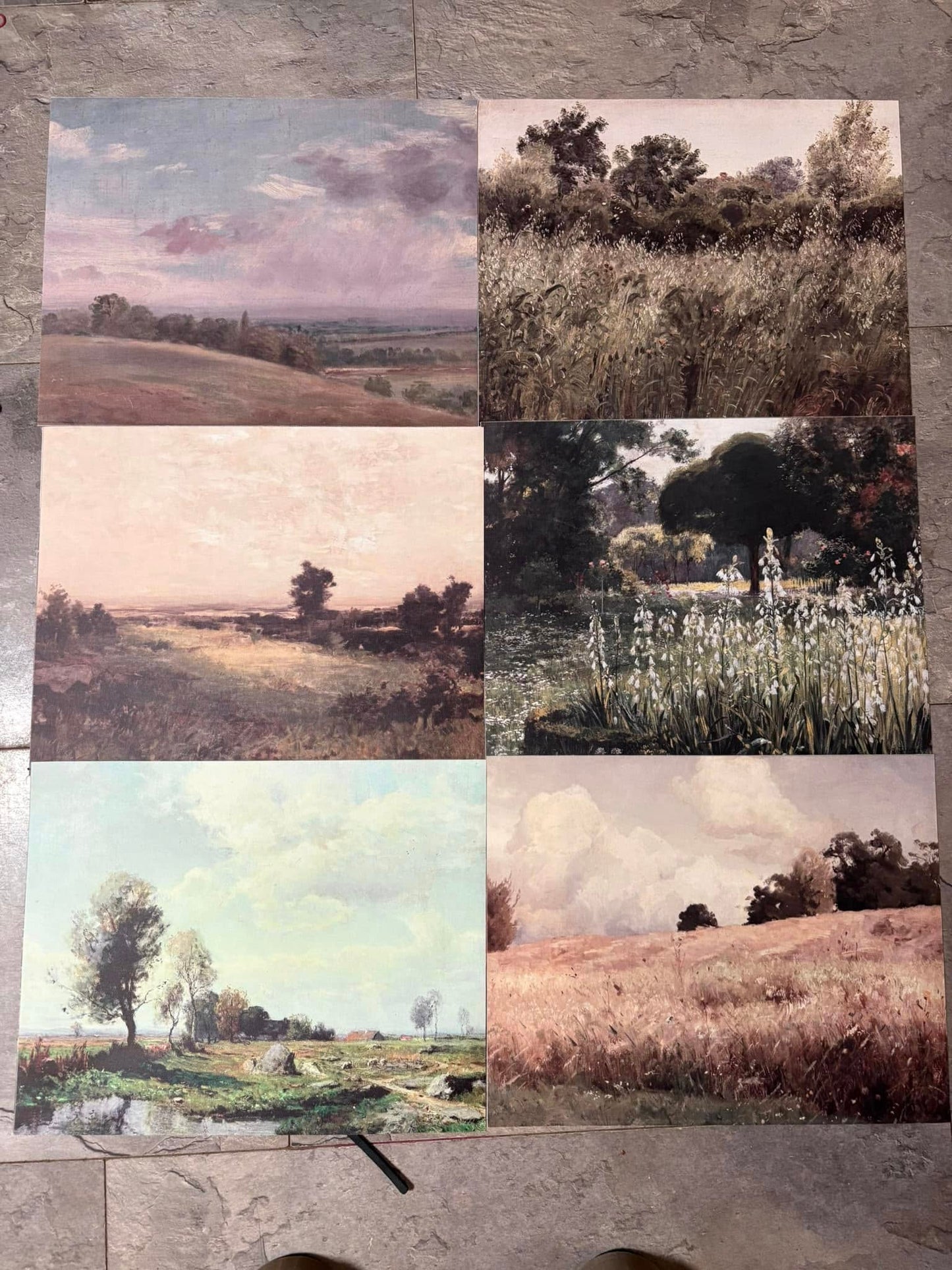 Wall Art Pack of 6 Images