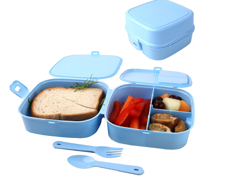 Packed Lunch Box