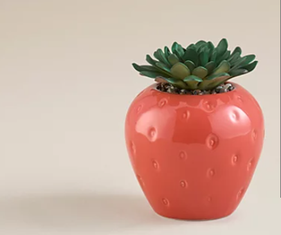 Strawberry Succulent