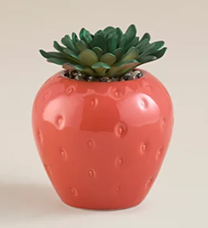Strawberry Succulent