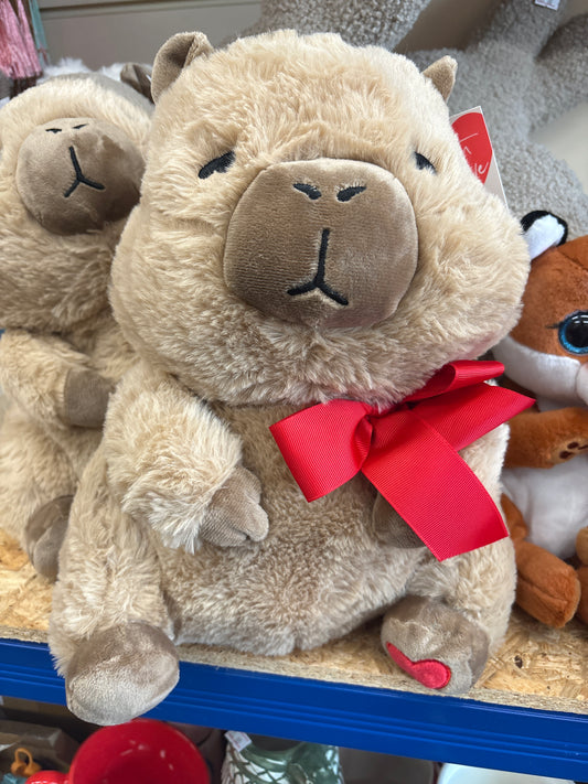 Cuddly Capybara Teddy