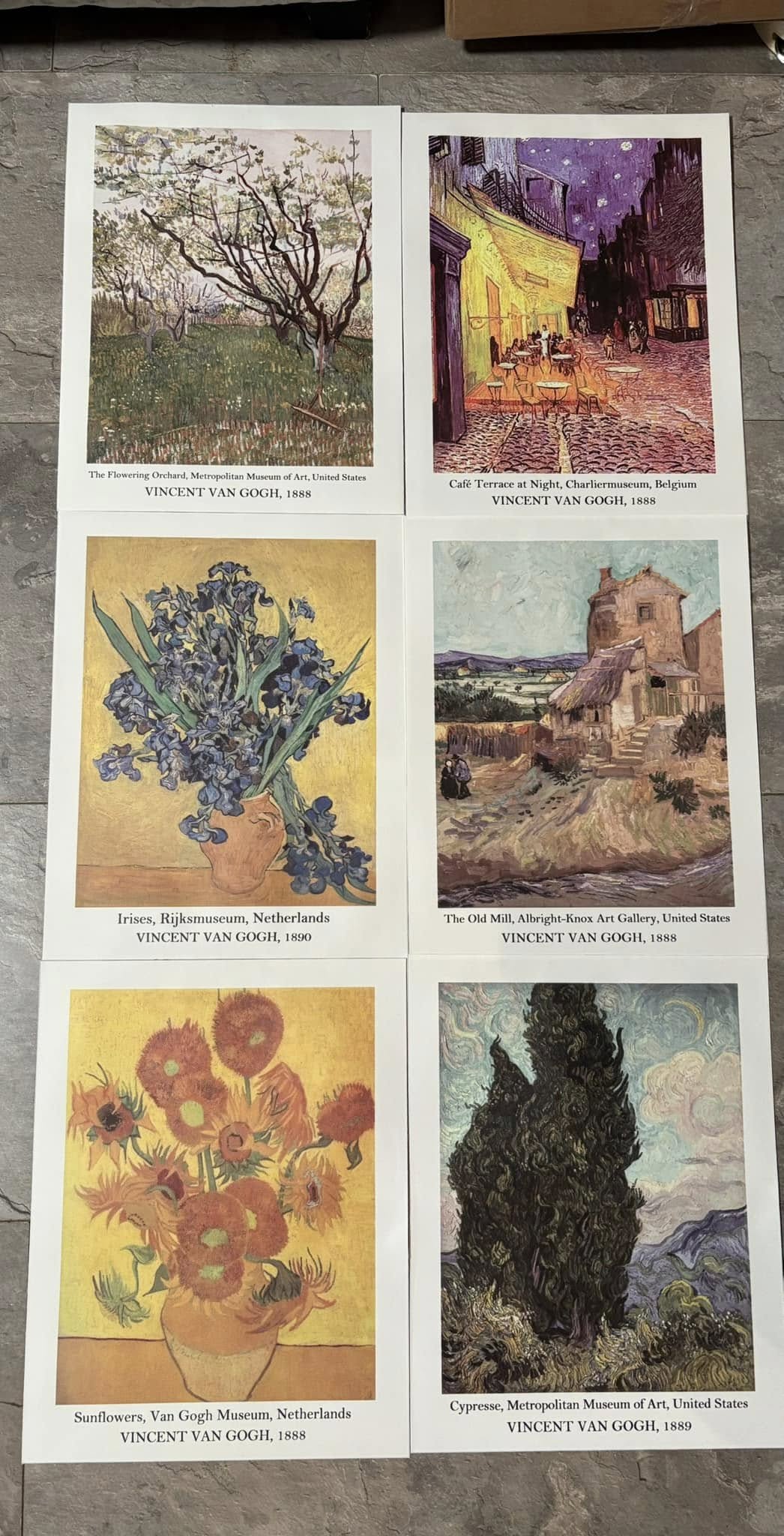 Wall Art Pack of 6 Images