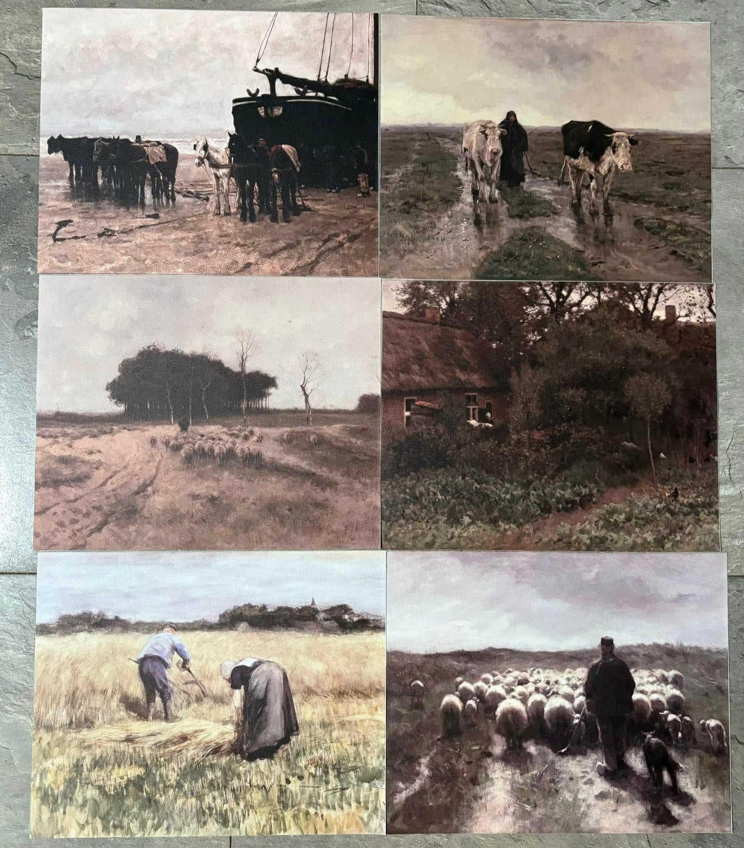 Wall Art Pack of 6 Images