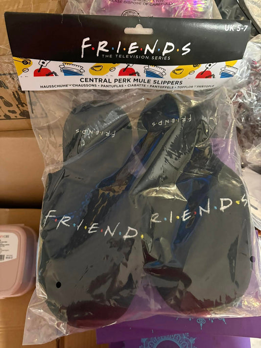 TV Show Friends Slippers