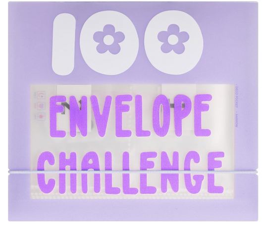 100 Money Challenge Wallet/Envelope