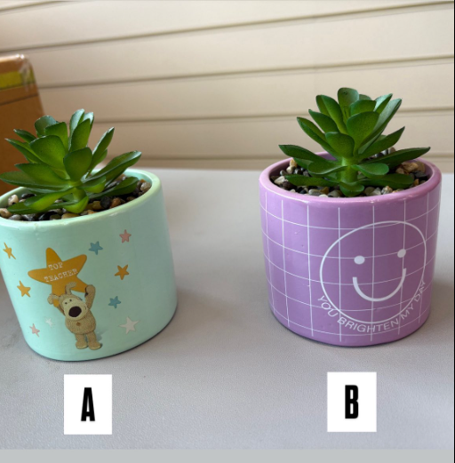 Thank You Teacher Succulent
