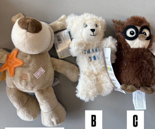 Thank You Teacher Teddies
