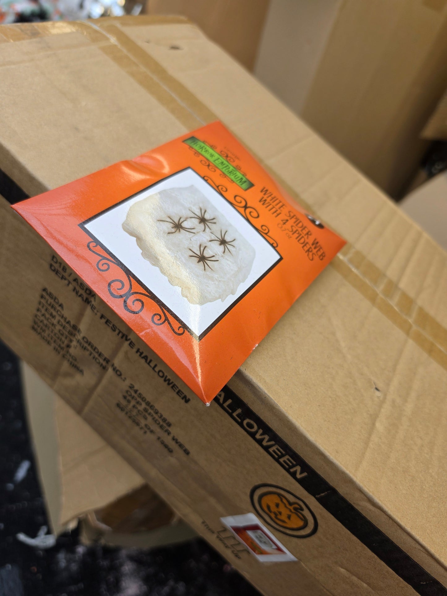 Box of 48 webs with spiders